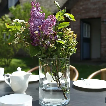 Inseltraum-strandlaeufer Oldsum